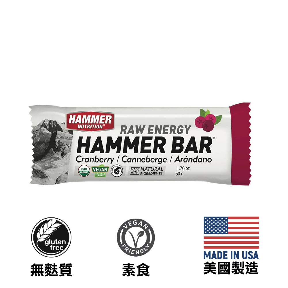 美國製有機能量棒 Made in the US Organic Food Bar