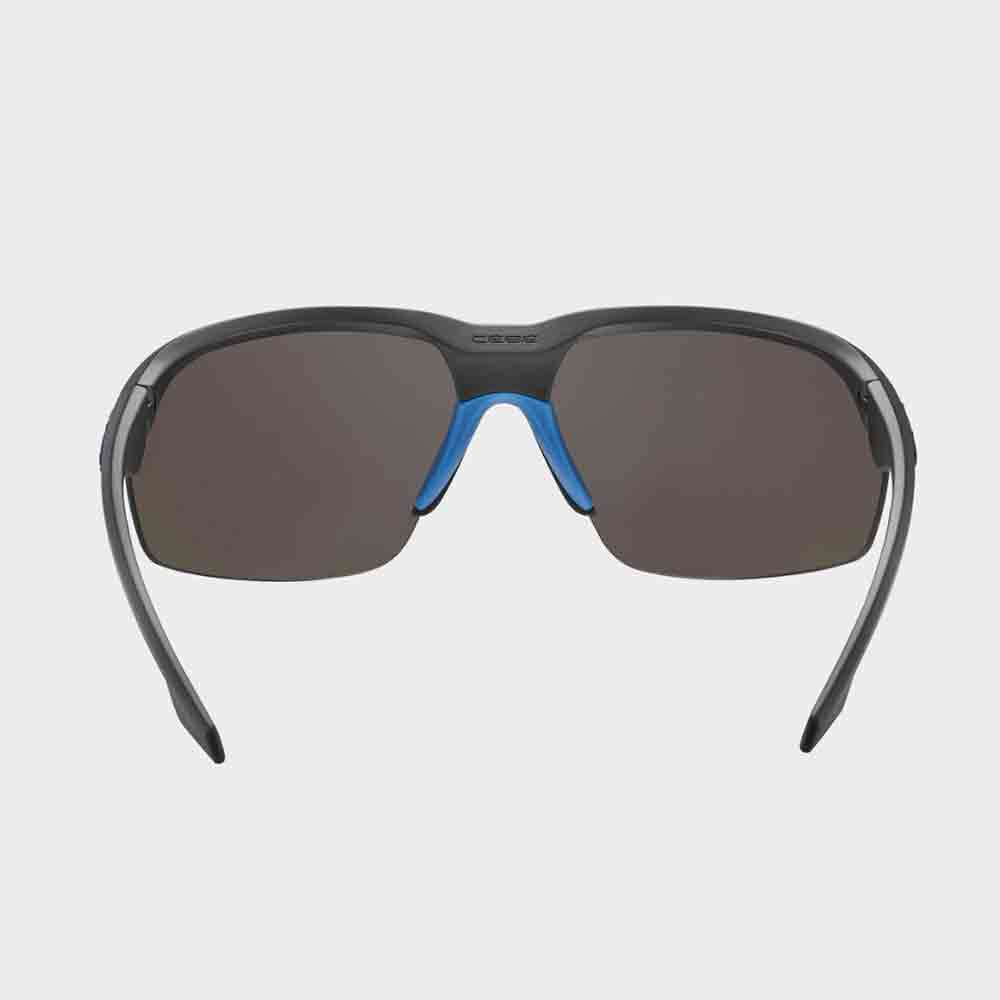 太陽眼鏡 Stamina Cat 3