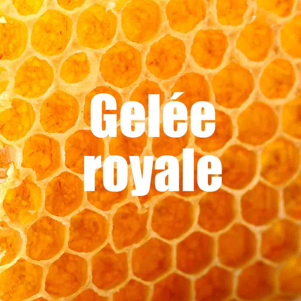 法國製速效量能量啫喱 Made in France Energy Gel - Coup De Fouet