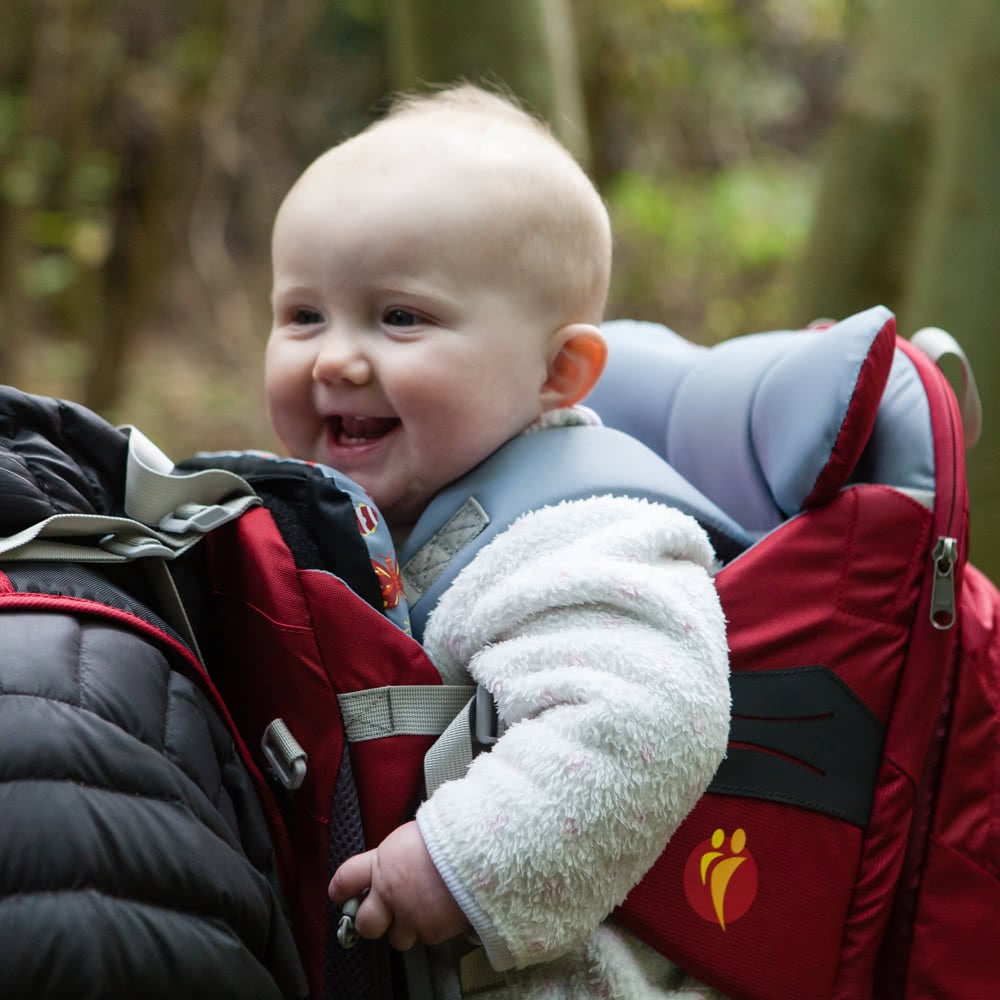 遠足嬰兒背架背包 Voyager S4 Child Carrier