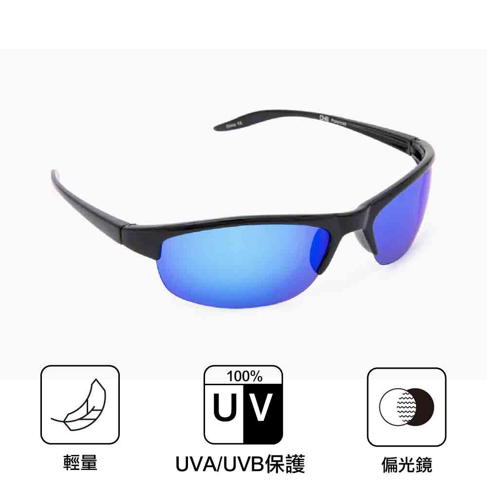 偏光太陽鏡 Alpine Shiny Black Polarized Smoke W/Blue Mirror