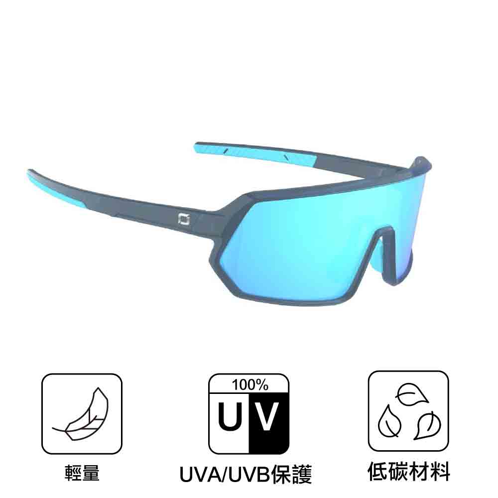 耐撞太陽眼鏡 FixieRip