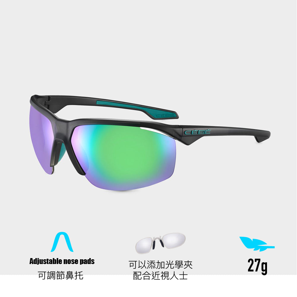 太陽眼鏡 Stamina Cat 3