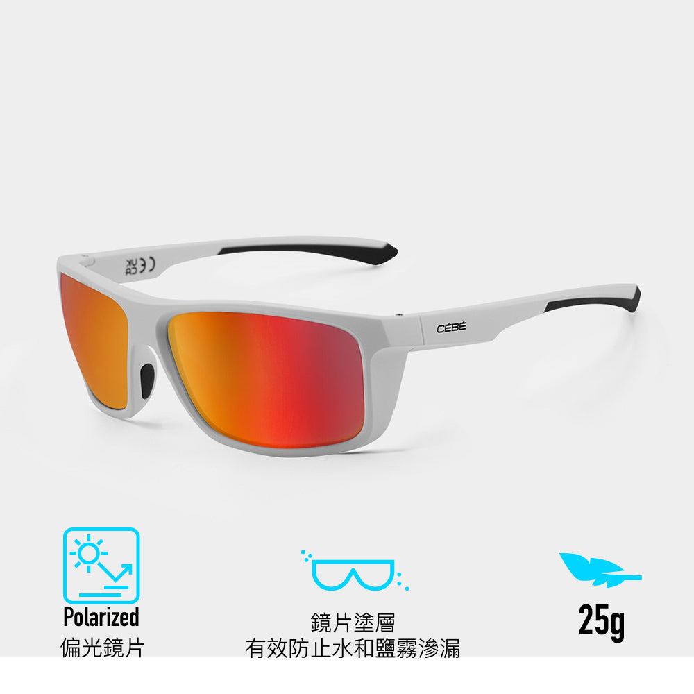 太陽眼鏡 Waterguard Cat 3 Polarized