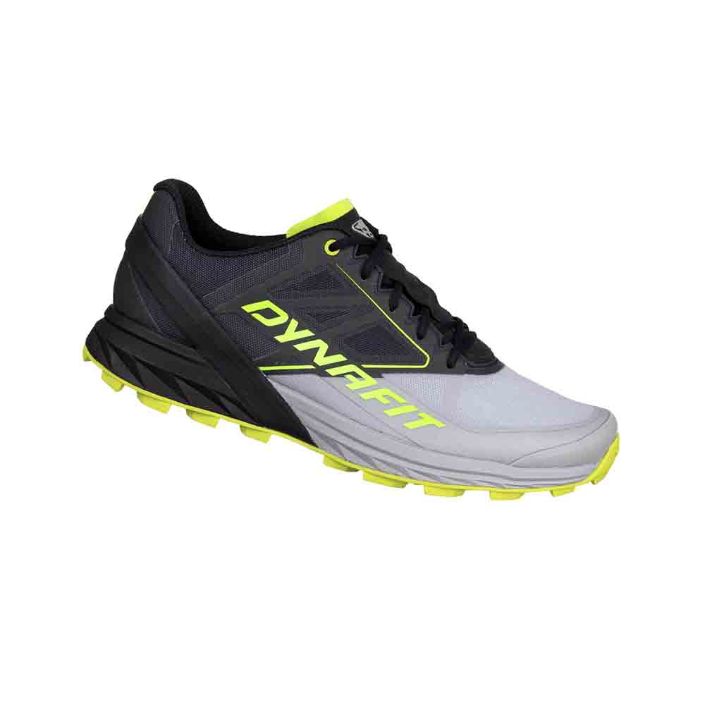 男裝越野跑鞋 Alpine