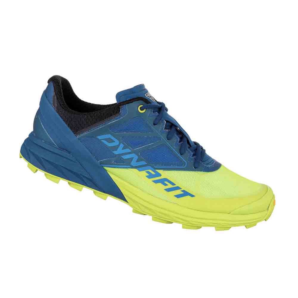 男裝越野跑鞋 Alpine