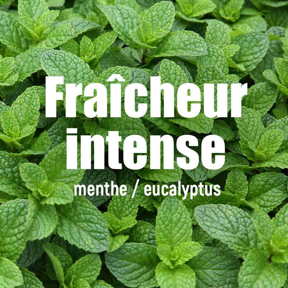 法國製高強度能量膠 + 咖啡因 Made in France Energy Gel - Red Tonic (Mint)