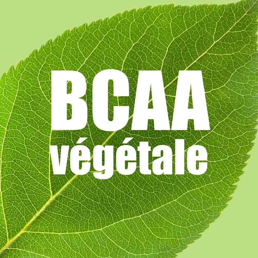 法國製長距離能量膠 + BCAA Made in France Energy Gel - Energix