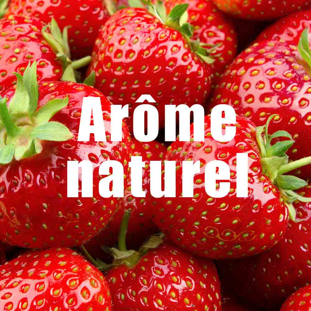 法國製速效量能量啫喱 Made in France Energy Gel - Coup De Fouet