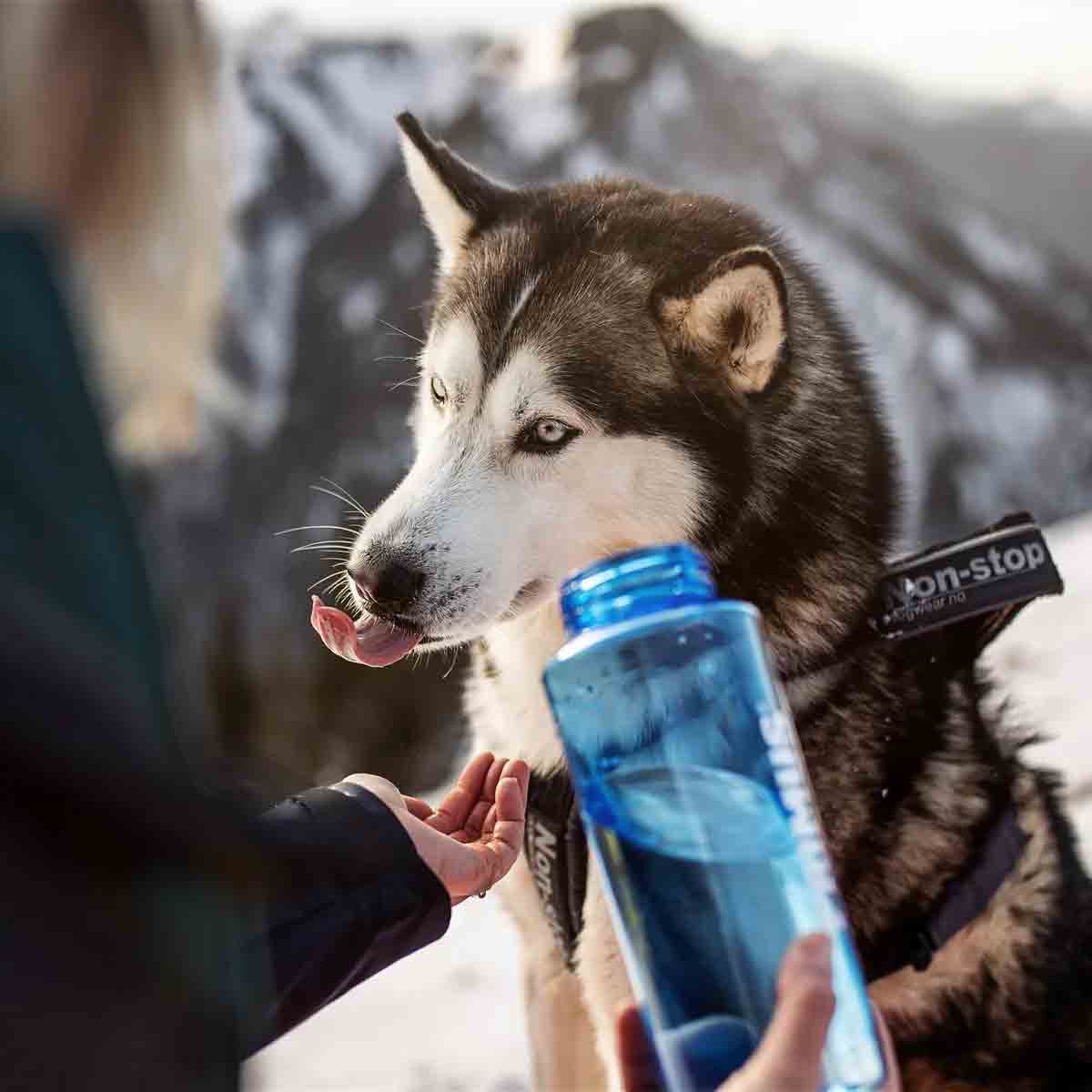 塑膠水樽 TrailBottle Tritan