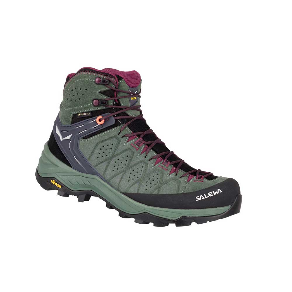 Ws Alp Trainer 2 Mid GTX