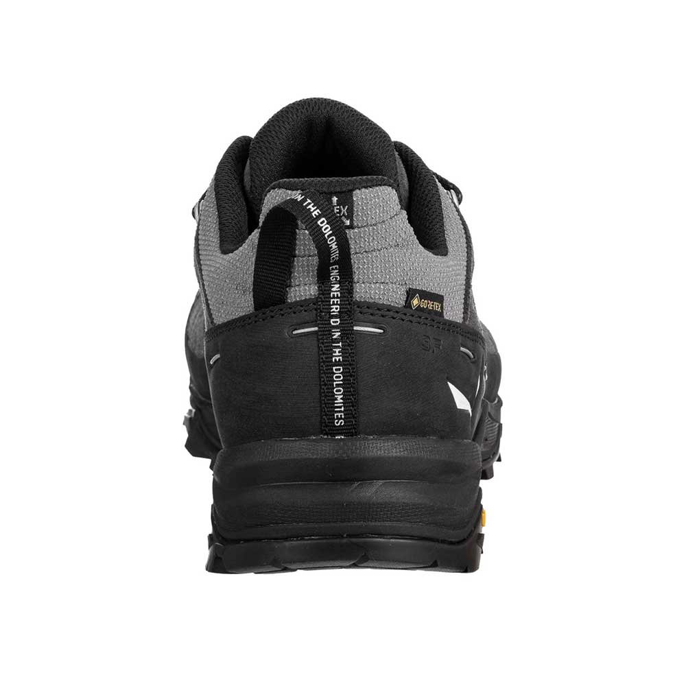 男裝防水登山健行鞋 Alp Trainer 2 GTX