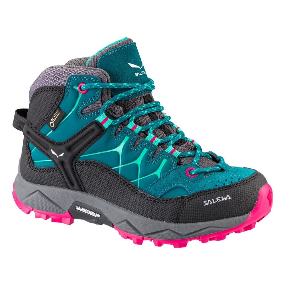 Jr Alp Trainer Mid GTX