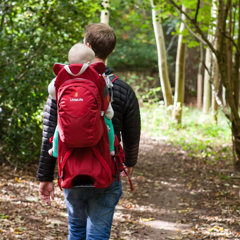 遠足嬰兒背架背包 Voyager S4 Child Carrier