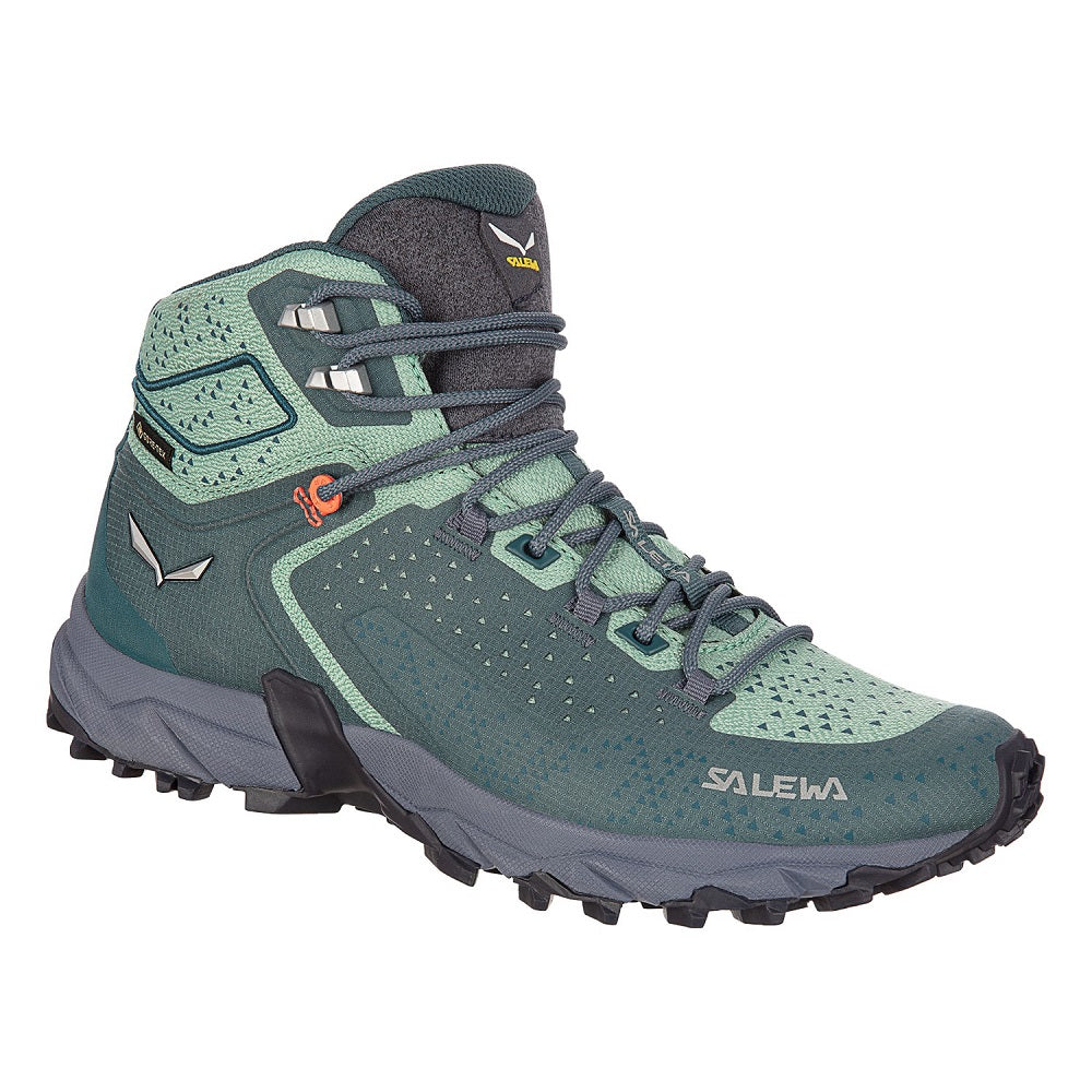 女裝防水徒步鞋 Alpenrose 2 Mid GTX® WOMEN&#39;S SHOES